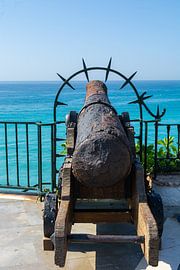 Kanon van Bernardine de Laat