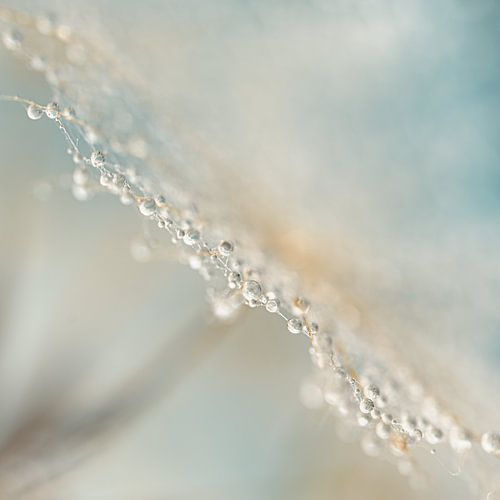 Een pastelkleurig vierkantje 