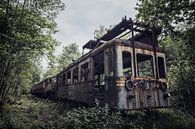 Abandoned urbex train in the middle of the woods by Steven Dijkshoorn thumbnail
