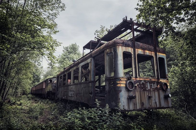 Abandoned urbex train in the middle of the woods by Steven Dijkshoorn