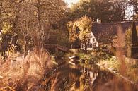 Autumn by Nancy van Verseveld thumbnail