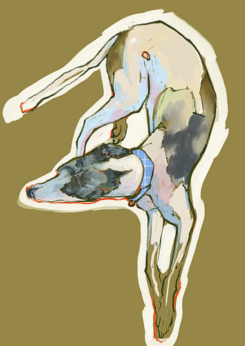 Modern Graphic Drawing of a Playful Greyhound – Greyhound Dog Art