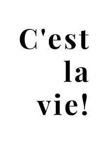 C'est la vie! von MarcoZoutmanDesign