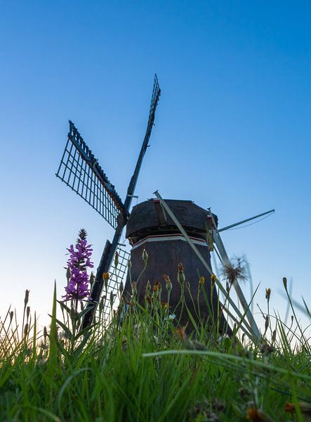 A warm evening at the mill by Els fontein