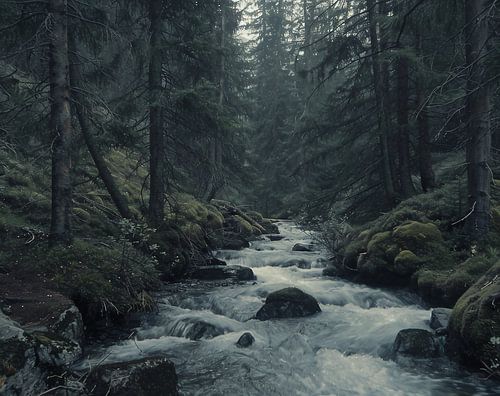 Forest whispers in the morning mist