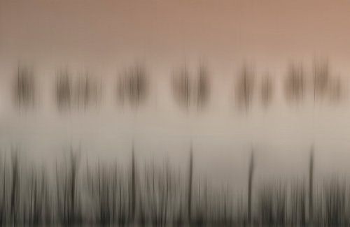 De magie van een mistige ochtend