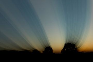 Streaks Of Shadows van Vincent van den Hurk