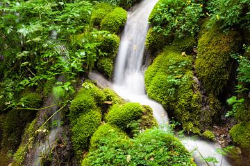 Waterfall in the forest by Tilo Grellmann