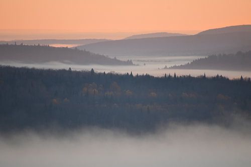 Een mist op een herfstochtend