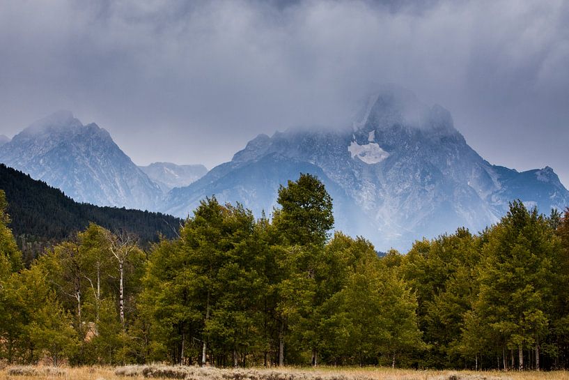 Bewolkte Grand Teton National park van Stefan Verheij