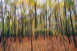 22 Herbstbäume - ICM: Bewusst bewegt von Rob van der Pijll
