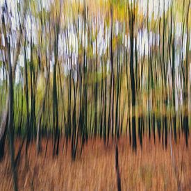 22 Autumn trees- ICM: Intentional camera movement by Rob van der Pijll