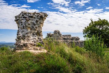 Ruines du château médiéval de Kallmünz sur ManfredFotos