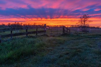 Zonsondergang begin lente Meppel Drenthe
