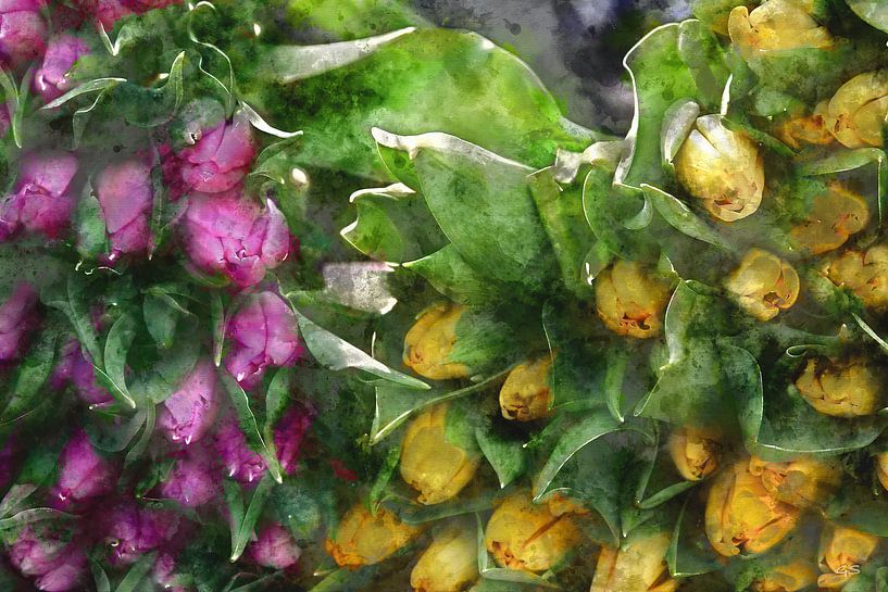 Bossen tulpen van gea strucks