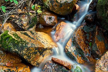 De rivier de Ilse in het Harz Nationaal Park van Heiko Kueverling