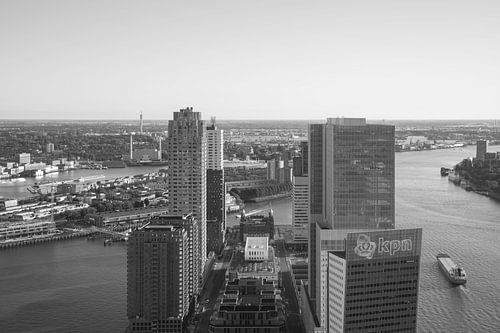 Het uitzicht op de Wilhelminapier in Rotterdam