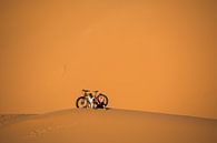 Een jongstel en een immense duin: Sahara. van Ton de Koning thumbnail