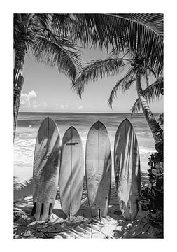 Surfplanken tussen palmbomen op een rustig strand van Felix Brönnimann