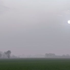 Mistig panorama van het platteland van Mario Verkerk
