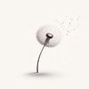 Lightness von Anne Seltmann