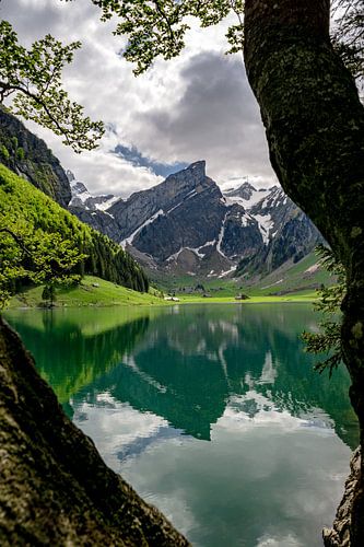 Uitzicht vanaf de Seealpsee naar de Appenzeller Alpen