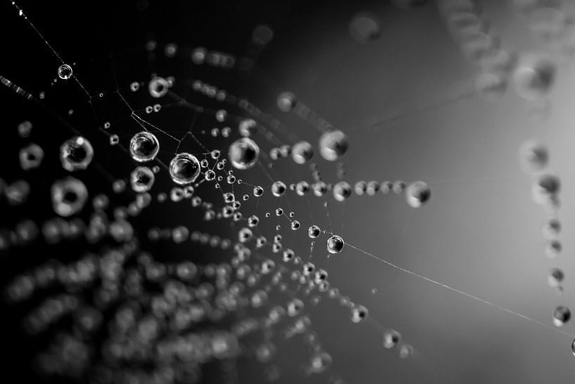 Abstracte spinnenweb met dauw Z/W van Zsa Zsa Faes