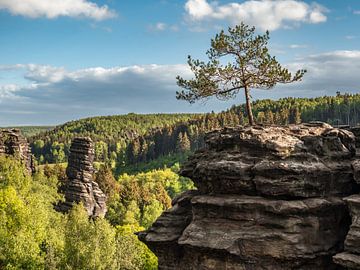 Bielatal in Saxon Switzerland - View towards Schiefer Turm by Pixelwerk