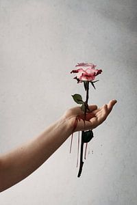 Bildmanipulation einer Rose durch eine Hand: Die Dualität von Liebe und Schmerz