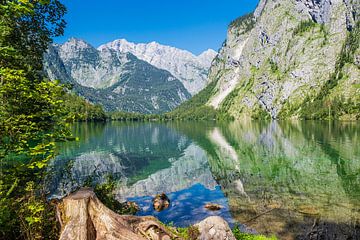 Blick auf den Obersee im Berchtesgadener Land in Bayern von Rico Ködder