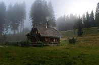 Hütte im Wald in den Bergen von Jens Sessler Miniaturansicht