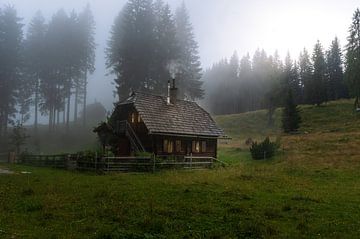 Cabin in the forest in the mountains