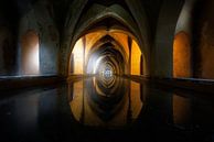 Light and water, Jorge Ruiz Dueso by 1x thumbnail