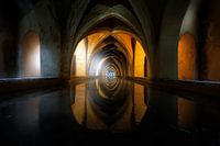 La lumière et l'eau