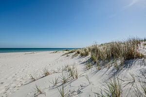 Ostseestrand und Dünen in Prerow