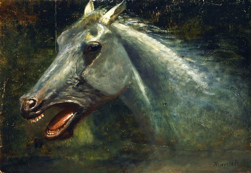 A Wild Stallion, Albert Bierstadt, 1888 by Atelier Liesjes