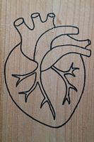 Hart (1/3)