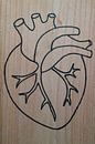 Heart (1/3) by hou2use thumbnail