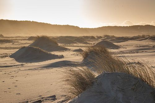 Wegdromen op het strand bij zonsondergang
