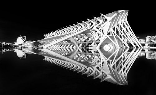 Wetenschapsmuseum in zwart-wit, Valencia, Spanje