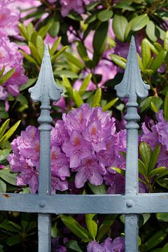 Clôture de jardin décorée