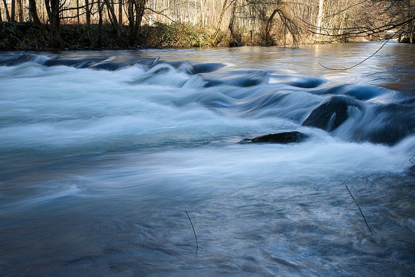 Meadow water by Dieter Fischer