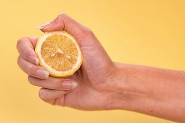 Zitrone, gelber Hintergrund