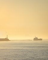 Golden Morning (standing)