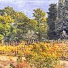 Campagne toscane en automne sur Dorothy Berry-Lound