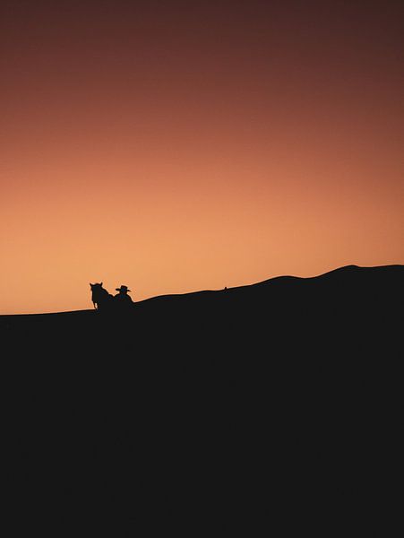 Desert silhouette by Larissa Geuke