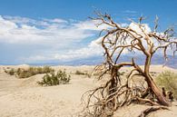 National Park Death valley van Hilda Weges thumbnail