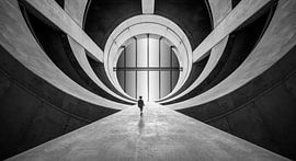 alleen van Maurits De Groen