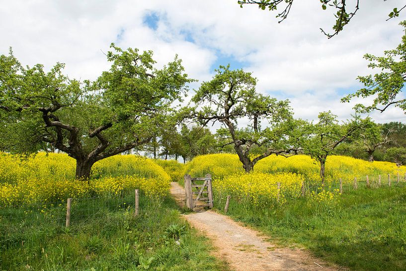 Werk aan de groeneweg van Elles Rijsdijk