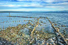 Plage au bord du lac de Constance